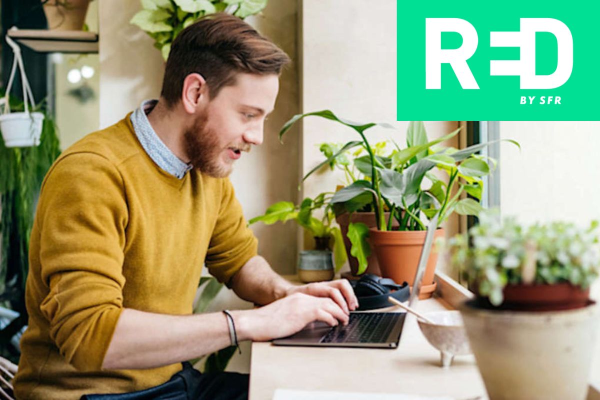 Travailler depuis n'importe où : pourquoi RED by SFR est un choix privilégié pour les indépendants