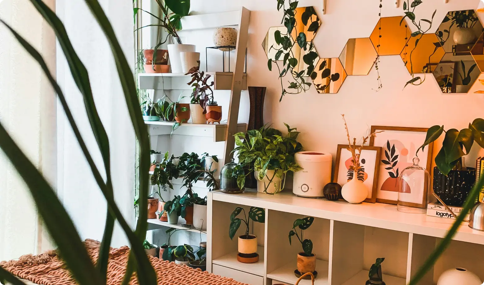 La gamme Les essentiels de la décoration pour un rafraîchissement de la maison